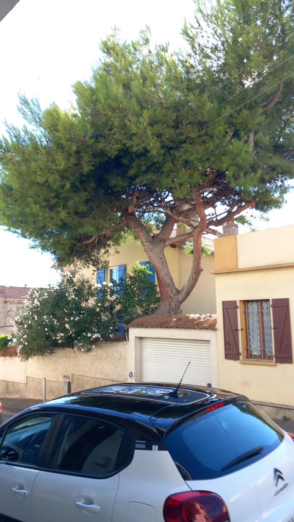 Cocon Love Port De L Estaque Marseille Ngoại thất bức ảnh